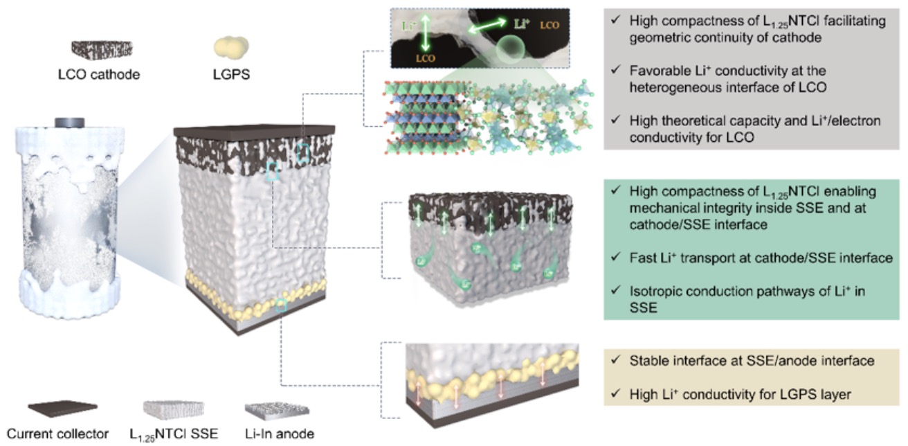 英雄联盟博彩网站