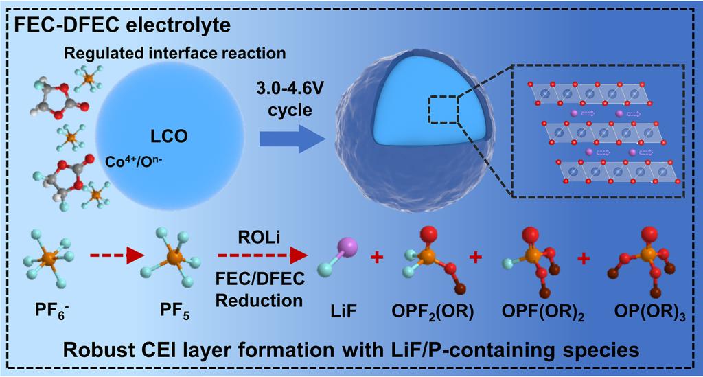 英雄联盟博彩网站