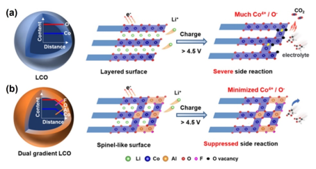 英雄联盟博彩网站