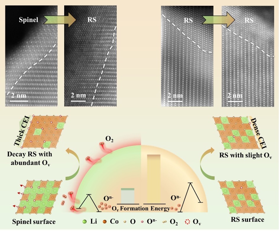 英雄联盟博彩网站