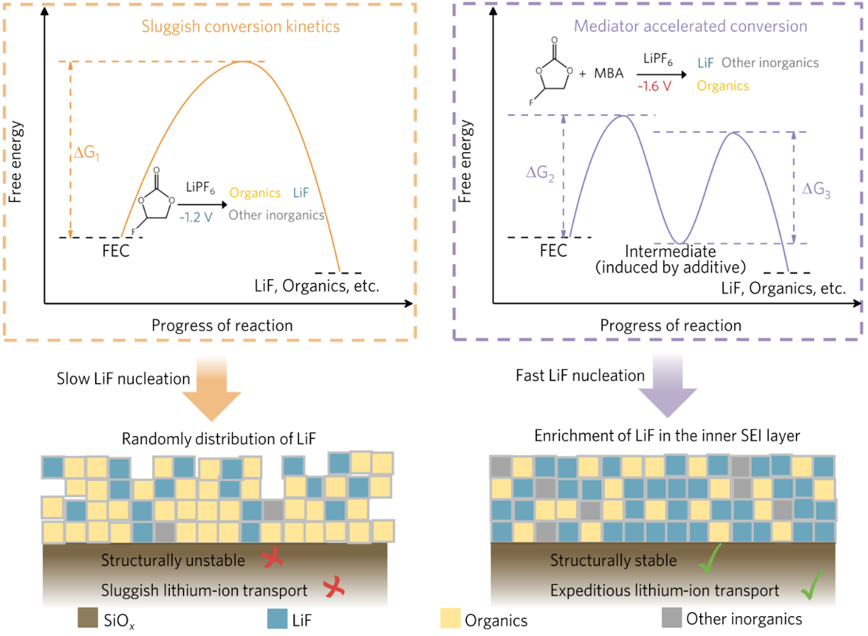英雄联盟博彩网站