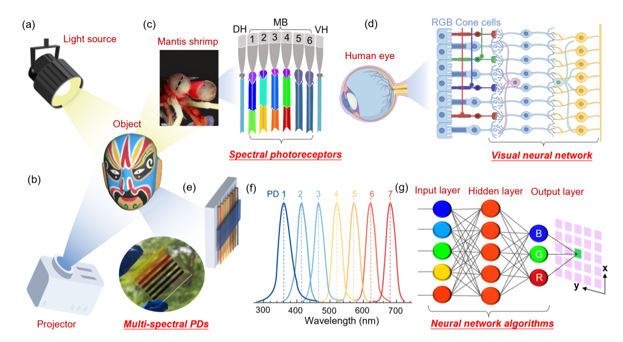 英雄联盟博彩网站