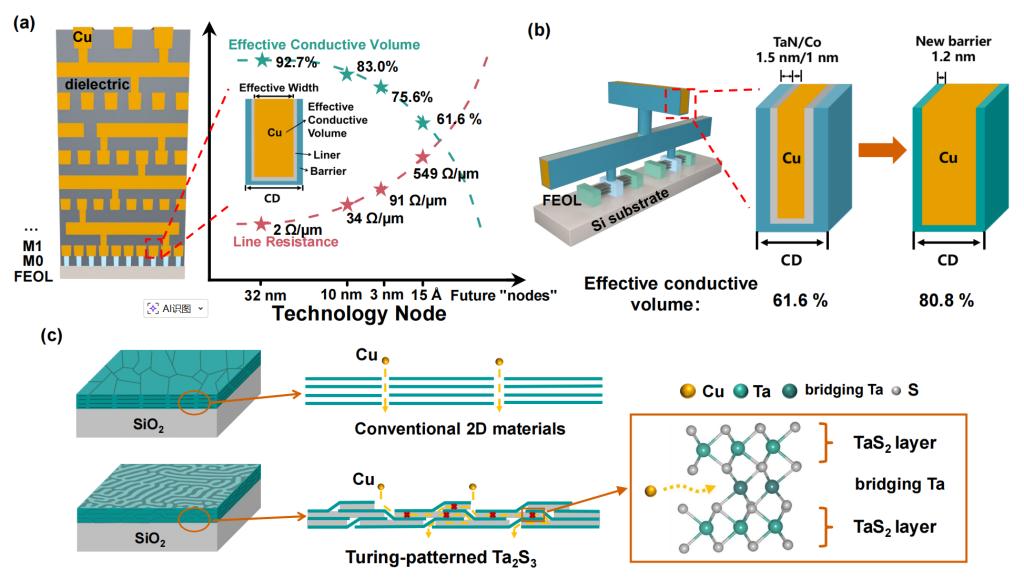 英雄联盟博彩网站
