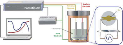 英雄联盟博彩网站