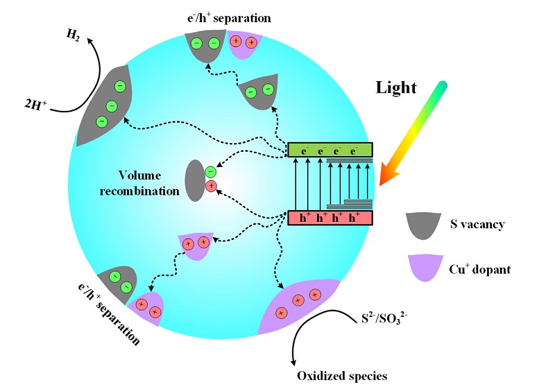 英雄联盟博彩网站