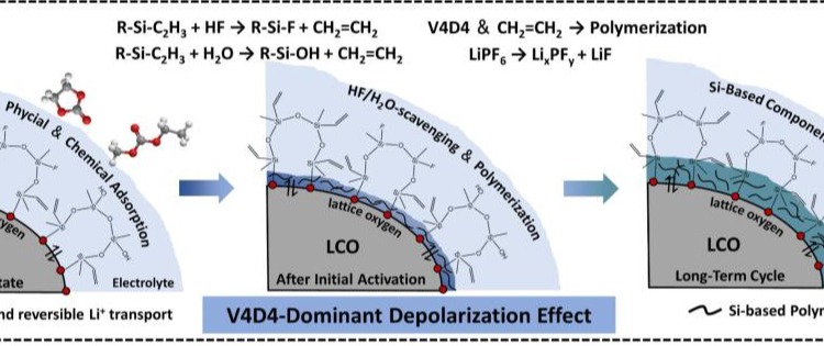 英雄联盟博彩网站