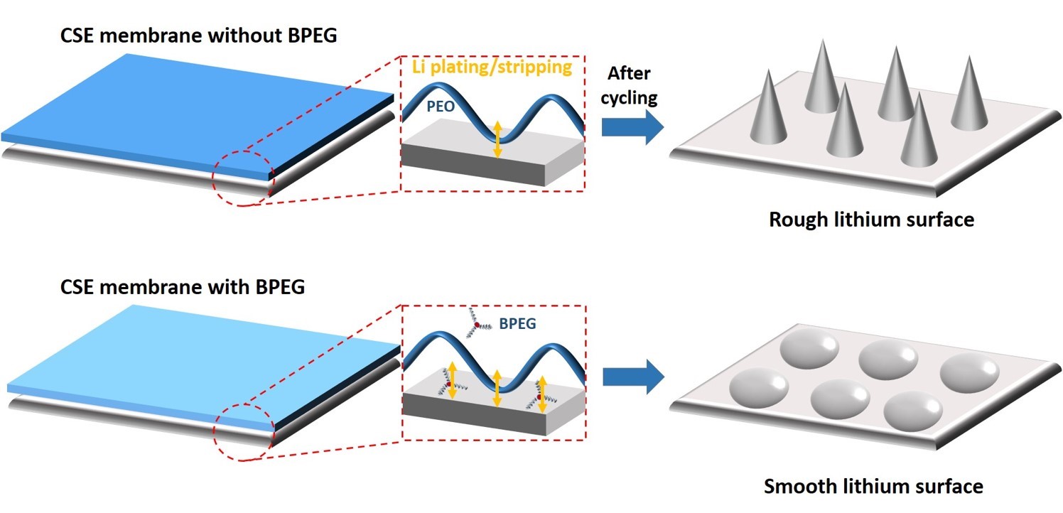 英雄联盟博彩网站