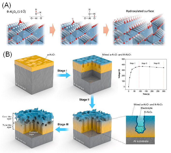 英雄联盟博彩网站