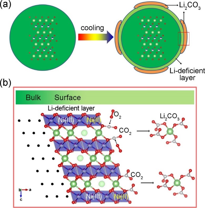 英雄联盟博彩网站