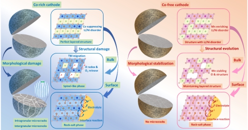 英雄联盟博彩网站