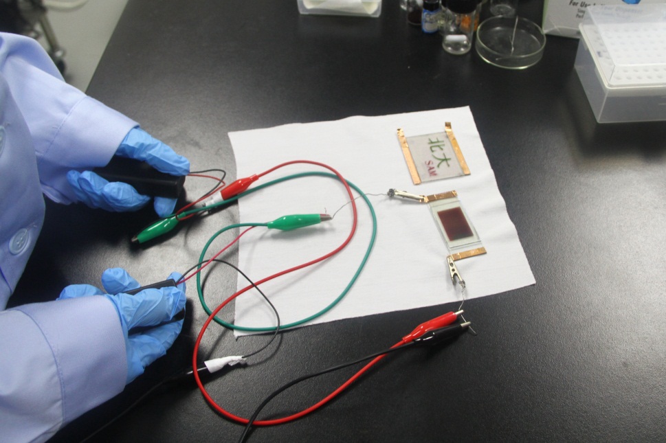 英雄联盟博彩网站