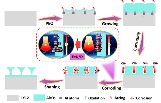 英雄联盟博彩网站