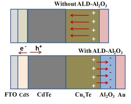 英雄联盟博彩网站