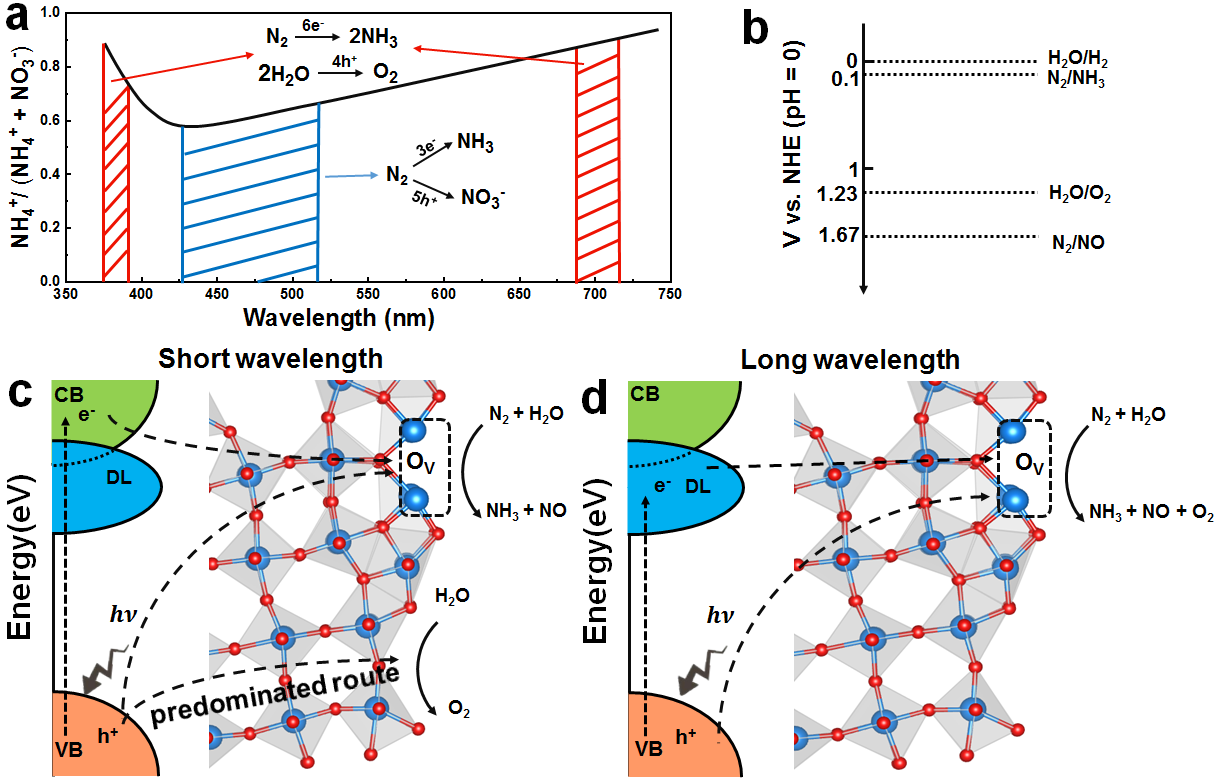 英雄联盟博彩网站