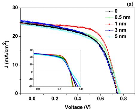 英雄联盟博彩网站