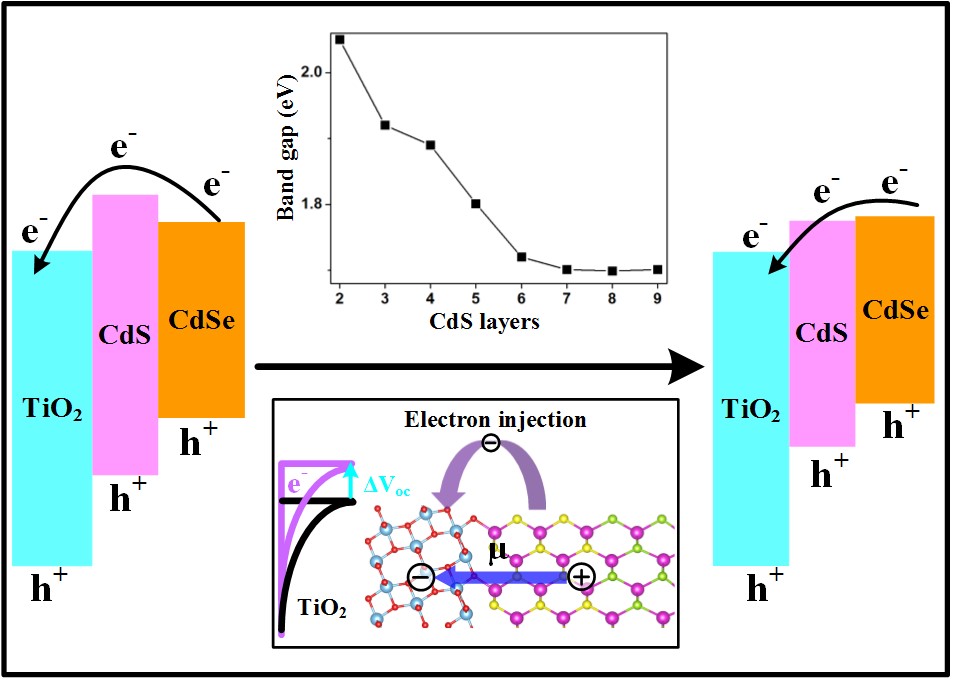 英雄联盟博彩网站