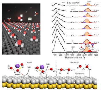 英雄联盟博彩网站