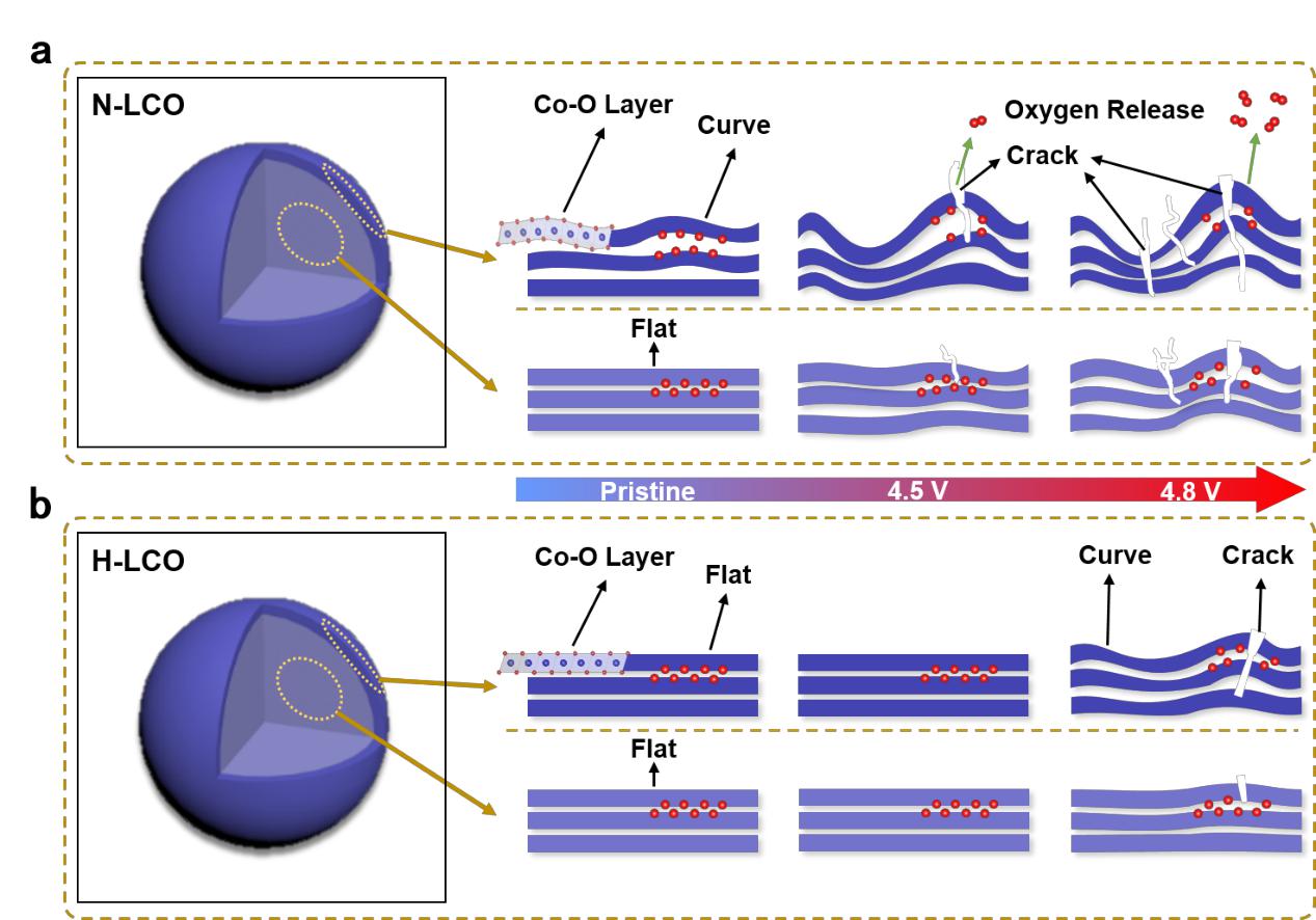 英雄联盟博彩网站