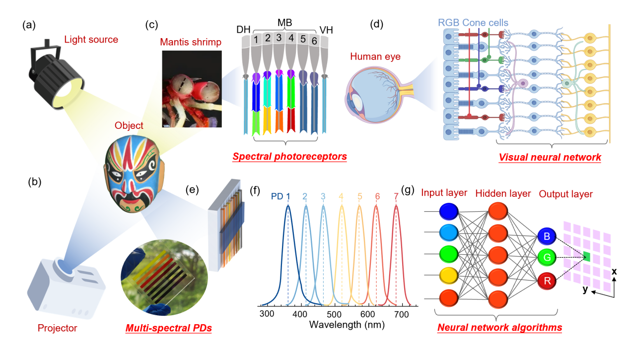 英雄联盟博彩网站