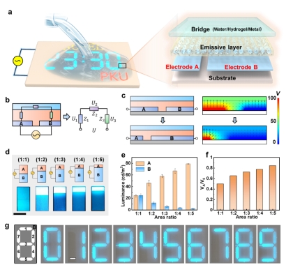 英雄联盟博彩网站