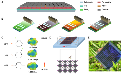 英雄联盟博彩网站