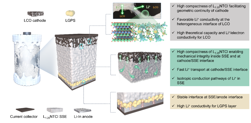英雄联盟博彩网站